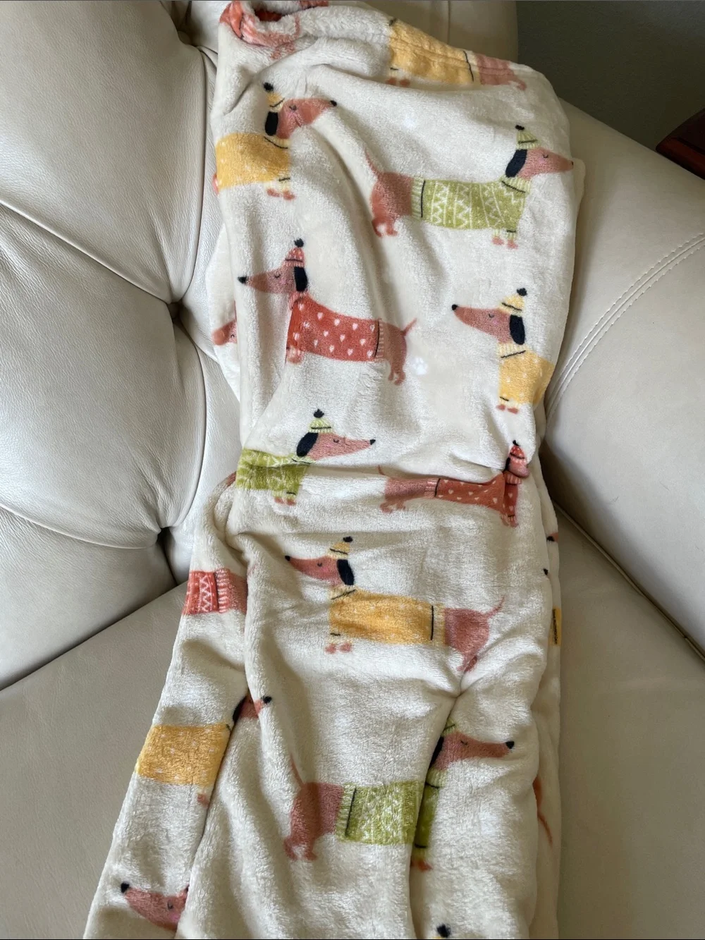 Dachshunds in sweaters and caps super soft throw